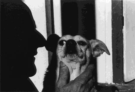 [Man and Dog - enlarged]